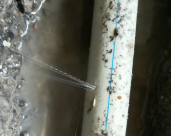 盐田卫生间测漏水多少钱