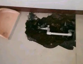 盐田卫生间测漏水多少钱